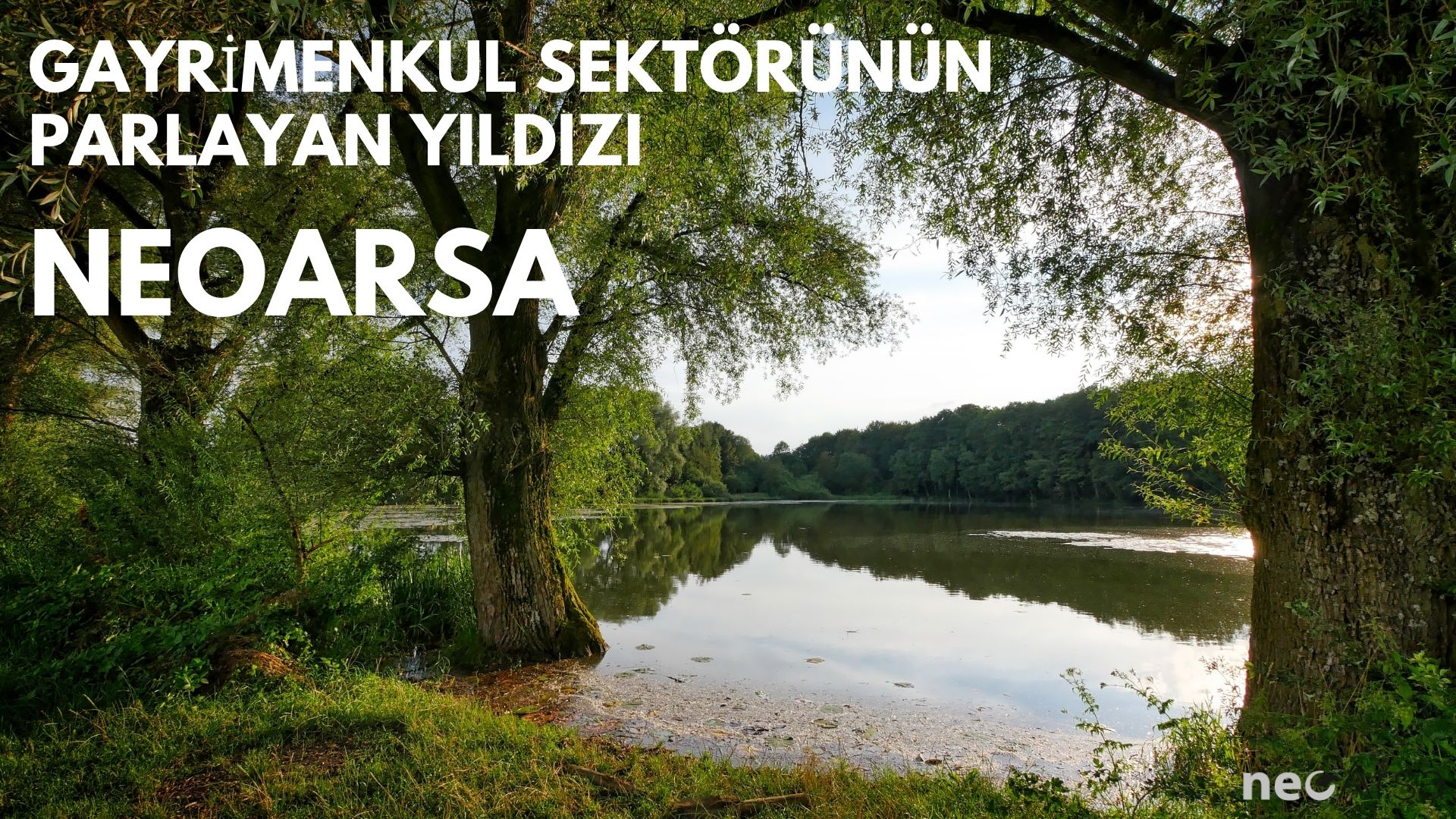 neoarsa